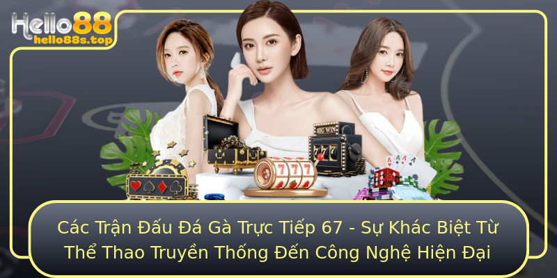 Các Trận Đấu Đá Gà Trực Tiếp 67 - Sự Khác Biệt Từ Thể Thao Truyền Thống Đến Công Nghệ Hiện Đại