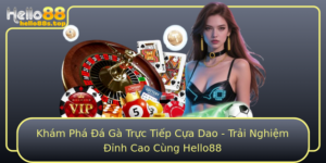 Kham Pha A Ga Truc Tiep Cua Dao Trai Nghiem Inh Cao Cung Hello88